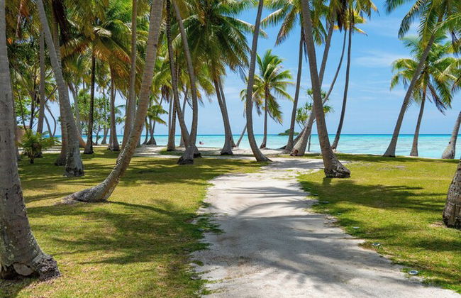 Motu Fara Private Island - Photo 64