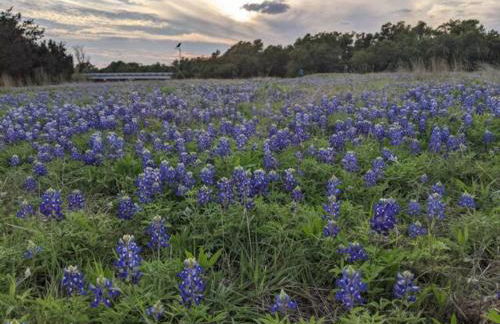 A Rare find - Bright, Warm, Charming Central Austin Home - Photo 53
