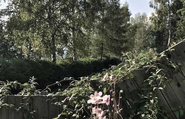 Berghütte Vogtland - Photo 38