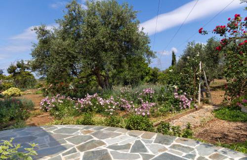 Eliva house - Foto 32