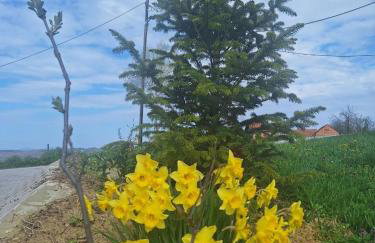 Drvena bajka - Photo 32