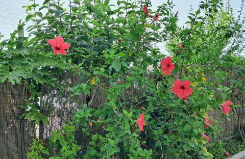 Apartamento Celine - Photo 8