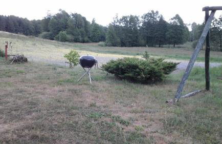 Zagroda z Antonówką - Foto 6