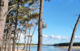 Appartement 2 pièces dans résidence bord de mer aux Sables d'Olonne - Foto 25