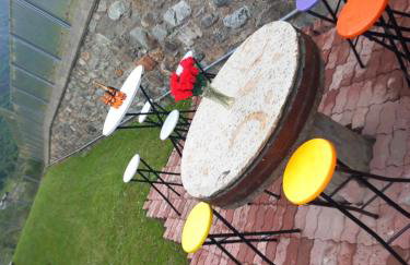 The Green Owl - Foto 48