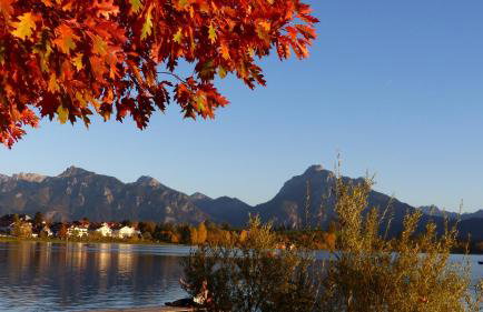 Ferienwohnung Allgäuer Landhaus Stocker in Hopferau-Füssen - Foto 41