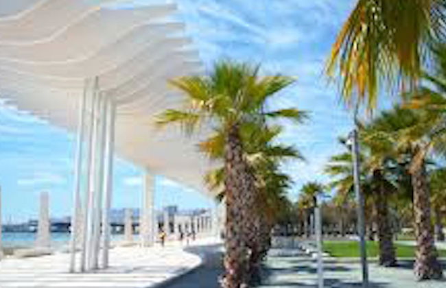 Viento 1 bedroom - Foto 14