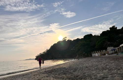 La Mandarine - Foto 20