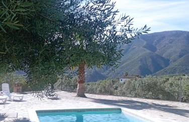 El Cañuelo - Foto 40