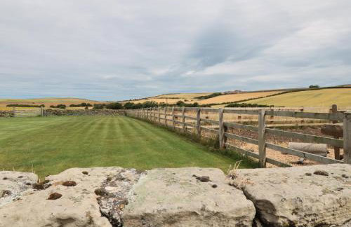 Street House Farm Cottage - Foto 29