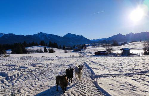 Ferienhof beim Bohlar - Geiselstein - Foto 15