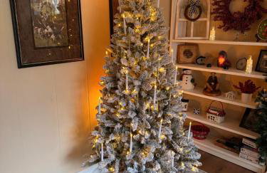 North Star Retreats - Foto 8