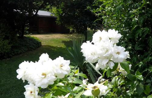 Vittoria Residence - Foto 75