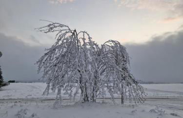 Ferienwohnung Waldblick - Foto 10