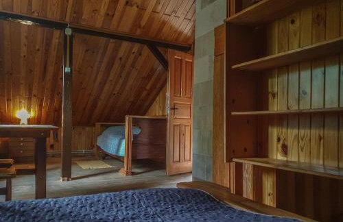 Kałamunka - Foto 47