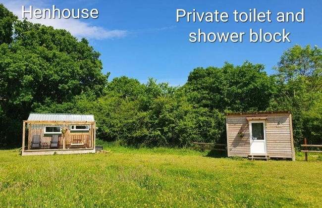 Dartmoor Reach Alpaca Farm - Photo 47