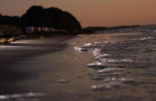 Lobster im Nauticum - Foto 15