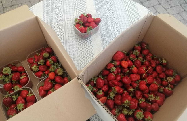 Tenuta san Giorgio - Foto 74