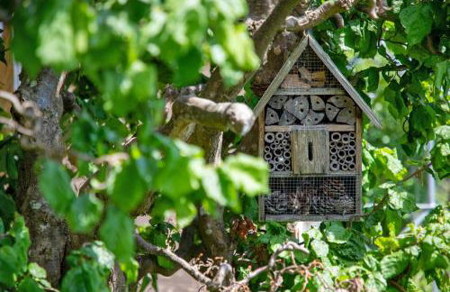 Fewo Kammeltal - Foto 31