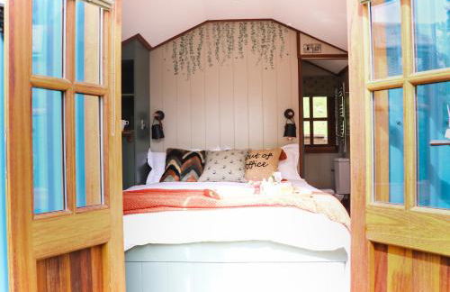 Little Silver Pheasant - Foto 18