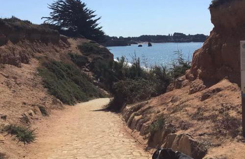 île Bacchus - Foto 13