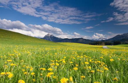 Haus Denneberg - Foto 9