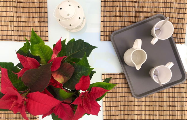 Apartamentos Varela 14 - Foto 50