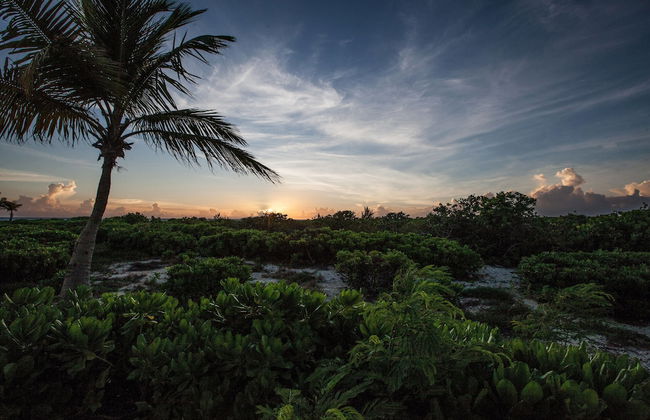 Northwest Point Resort - Foto 64