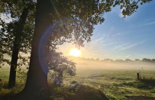 Ferienwohnung In den Wiesen - Foto 13