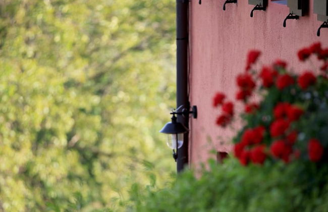 Casa Rossa ai Colli - Photo 61