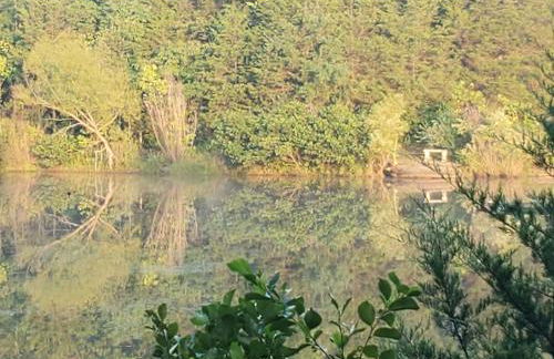 Rustic A-Frame Cabin in the Lush Woodlands of Grubville, Missouri - Foto 28