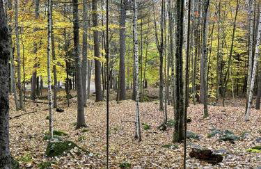 Tree House Rental Ideal for a Unique Getaway near Lake Sunapee in New Hampshire - Foto 55