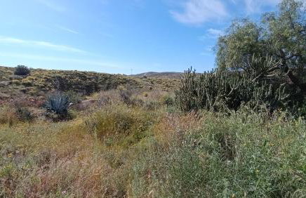 Finca La Senorita - Foto 43