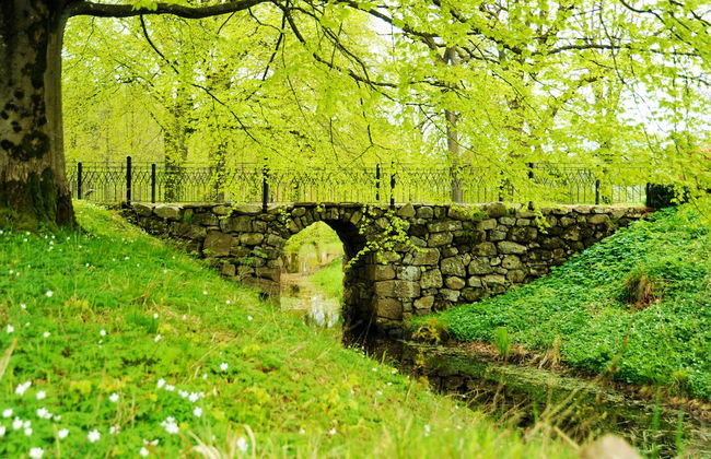 Kronovalls vinslott - Foto 23