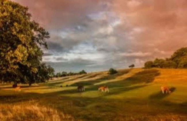 Charming 2-bed Cottage on Outskirts of Beverley - Foto 15