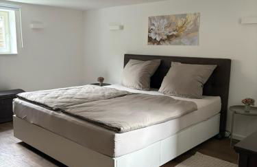 Waldblick am Rhein - Natur & Citynah - - Foto 1