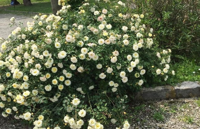 Fondo Giardinetto - Photo 32