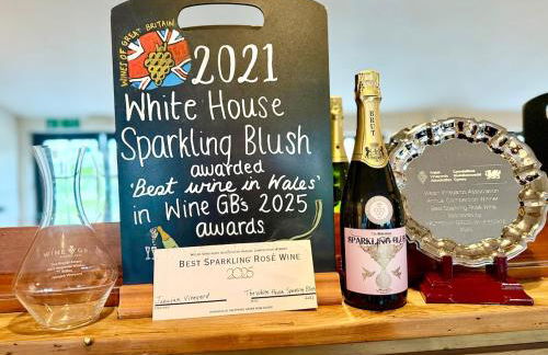 Exclusive Vineyard Estate for 18 Guests - Foto 67