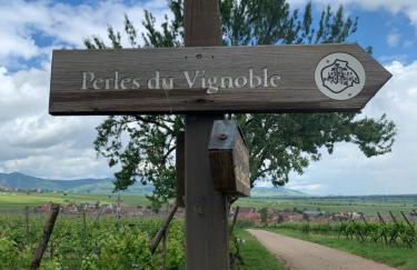 la parenthèse - Foto 16