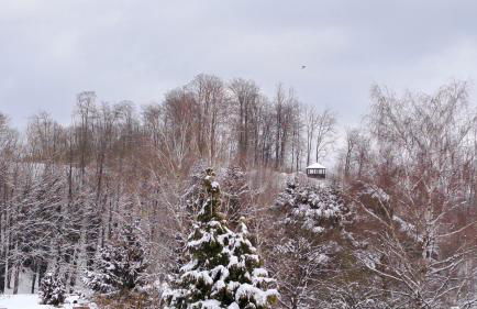 Haus Sonnenburg - Foto 43