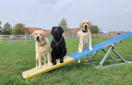 Ferienhaus S`bunde Heisle - Foto 1