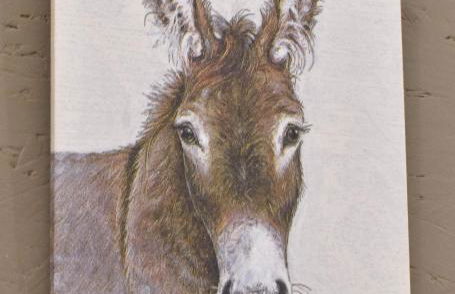 Ferienwohnung auf Pferdehof - Foto 49