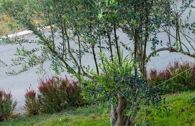 Bivalvia Apartments - Foto 61