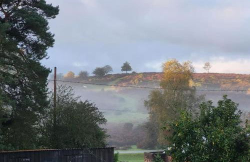 Little Apples - Foto 28