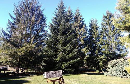 Ferienhaus zum Vogelnest - Foto 11