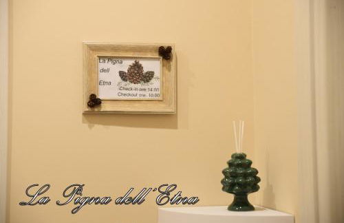 La Pigna dell'Etna - Foto 40