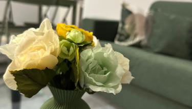 Verde Speranza Apartment - Foto 5