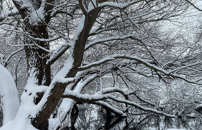 Flat in Eutin on the Kleiner Eutiner See Lake - Photo 30