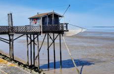 Green love & Spa - Villa Romantique - Foto 21