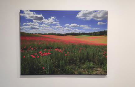 Apartamenty Klangor - Foto 22